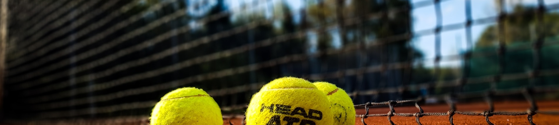 Sport Sport